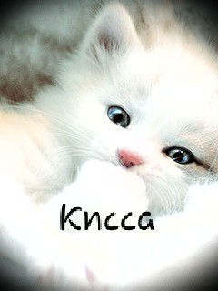 Светлана Будаева