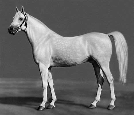 Вкусная Греча