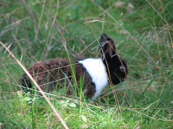 Валентина Рыбачка