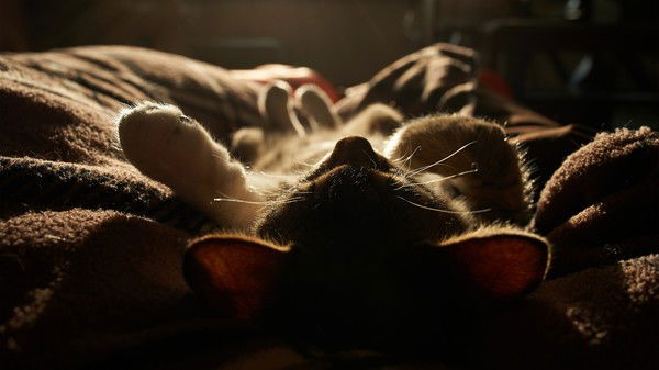 Сергей Мазанов