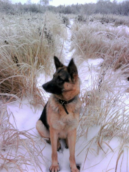 Сергей Кузнецов