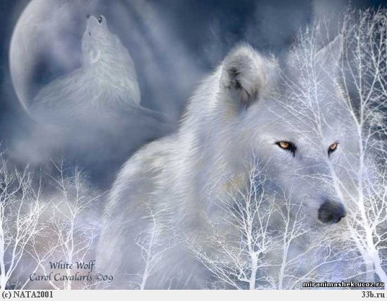 Мария Васильева