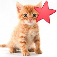 Анюта Петрова