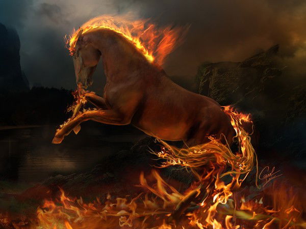 Алиса Аркадевна