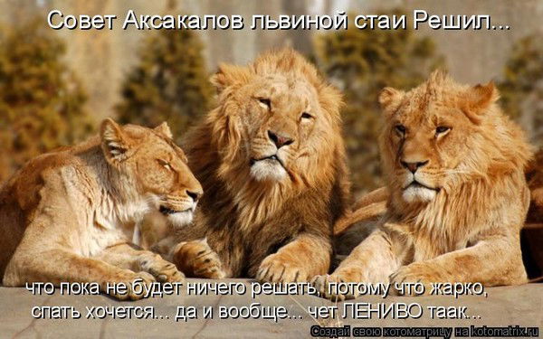 Просто Людмила