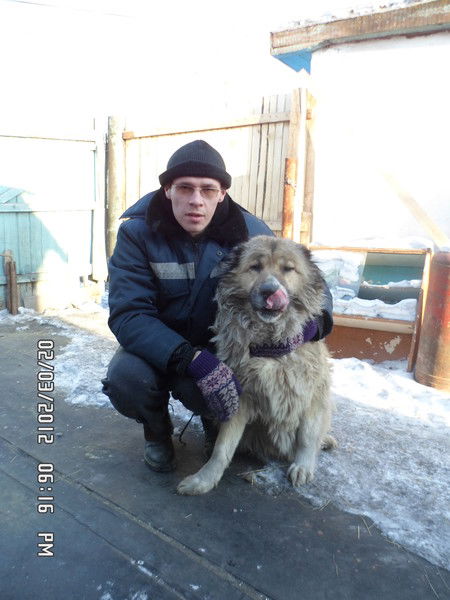 Владимир Гребёнкин