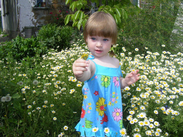 Сергей Носов