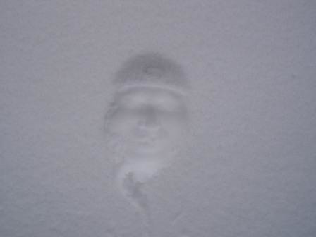 Александр Денисюк