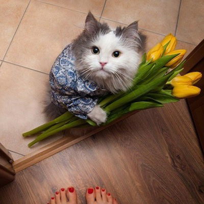 Оксана Гладий