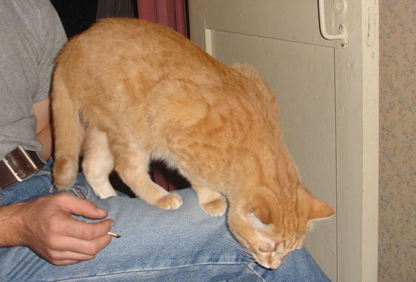 Михаил Иванов