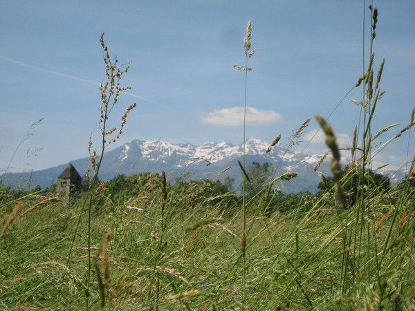 Максим Шепелявый