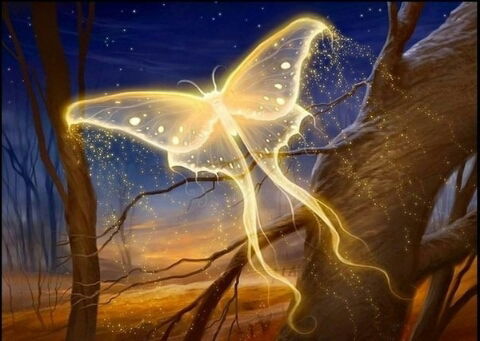 Айгуль Суттибаева