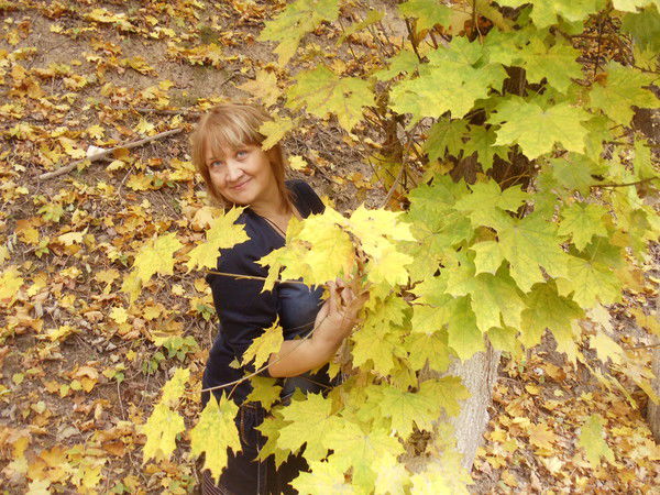 Елена Шипилова