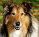 §§§Славян §§§