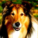 §§§Славян §§§