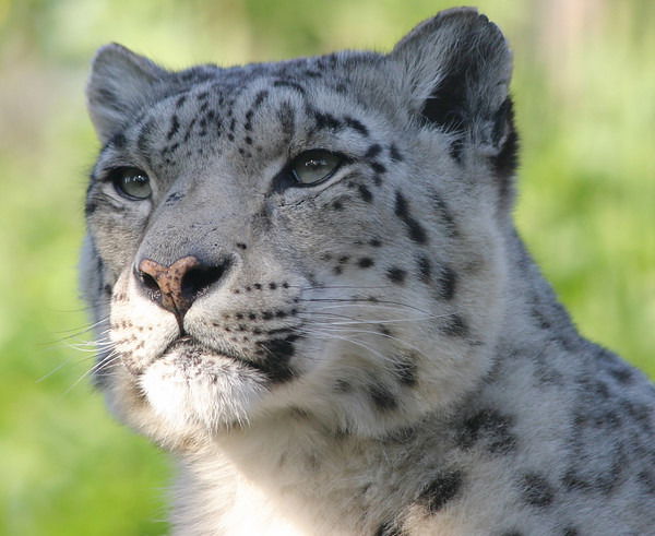 Алмас Хайруллин