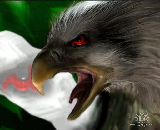 Имам Темирханов