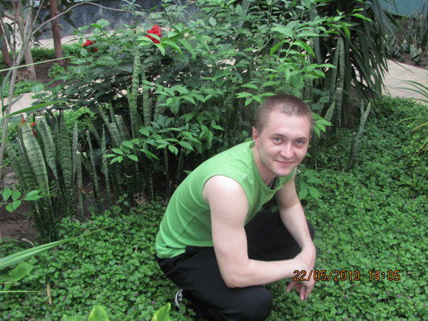 Денис Вдовиченко