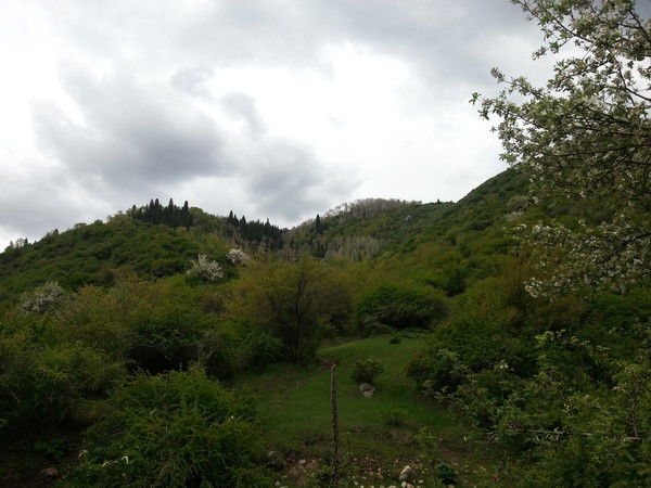 Зинятхан Мурадуллаева