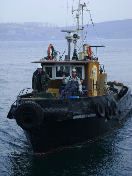 Владимир Быков