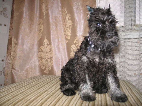 Оксана Ловягина