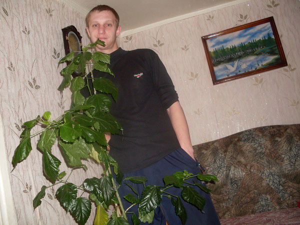 Виталий Присекин