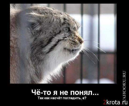 Андрей Соловьёв