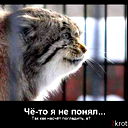 Андрей Соловьёв