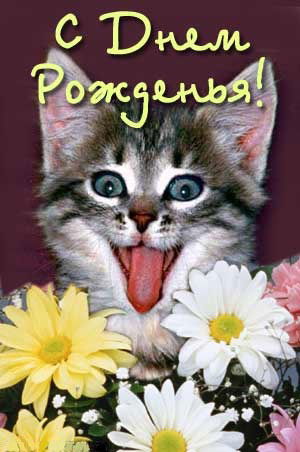 Юлия Ёжикова