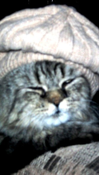 Татьяна Раевская