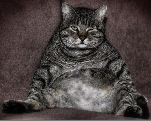 Николай Горбачев