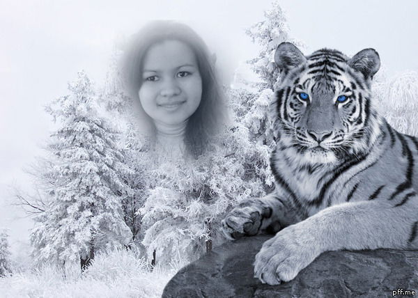 Альбина Елеупова