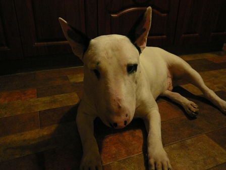 Наталья Мельникова