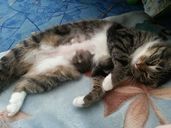 Катерина Mix