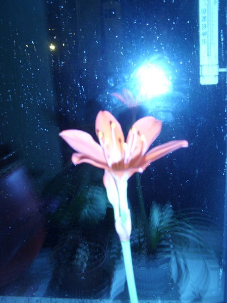 Неизвестно Неизвестно