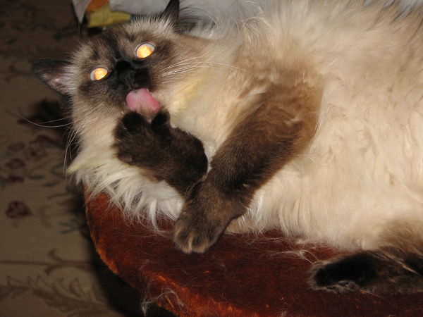 Сергей Жиганов