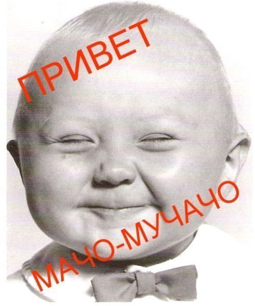 Рахат Несипбаев