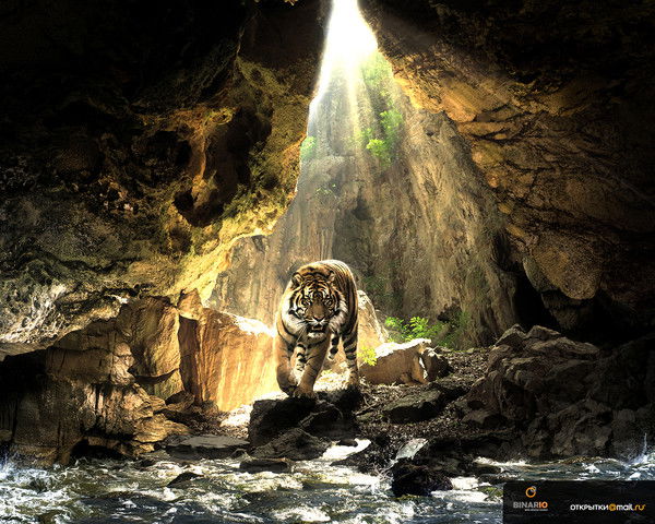 Алексей Полищук