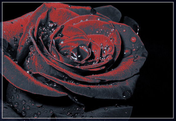 Валентина Савина