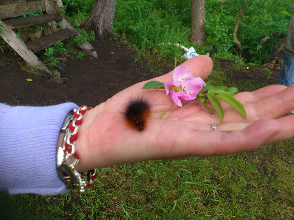 Татьяна Бабич