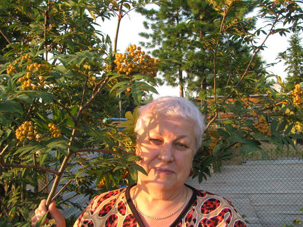 Галина Фролова