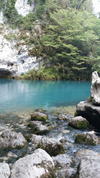 Людмила Рыбалкина