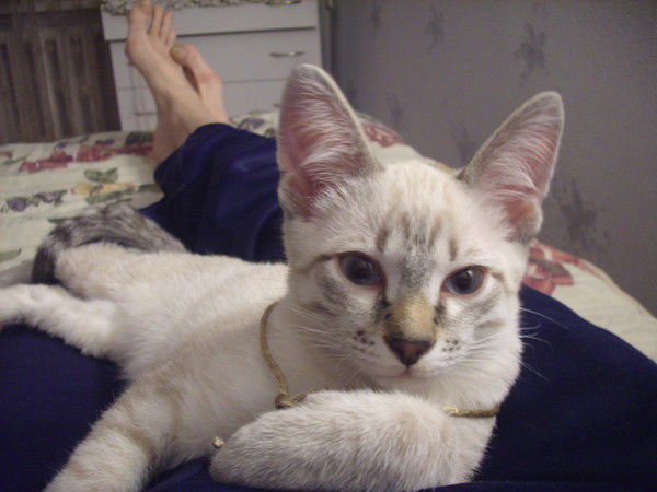 Жанна Масловская