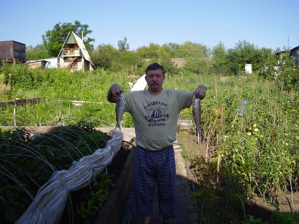 Михаил Егоров