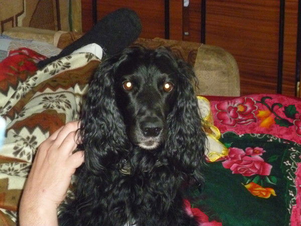 Александр Суслин