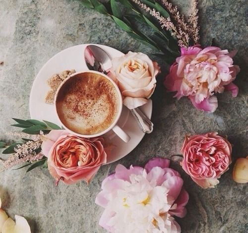 Кристина Шмидт