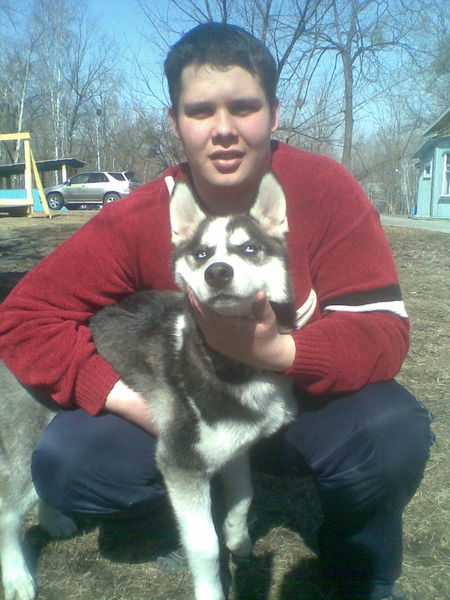 Александр Николаев