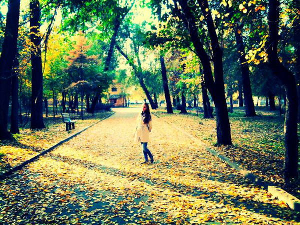 Карина Мамедова