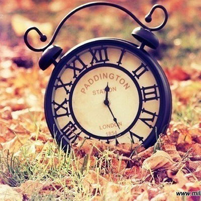 Александра Мельниченко