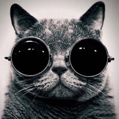 Виталий Витальевич